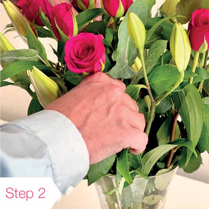 Rose Care Guide Step Two